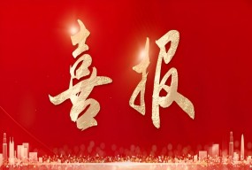 喜报！临沂市康复医院顺利通过电子病历系统应用水平四级评审